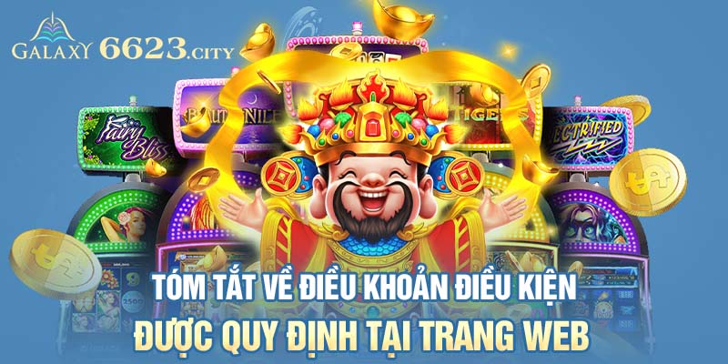 Tóm tắt về điều khoản điều kiện được quy định tại trang web